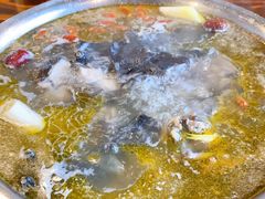 -陈三炖鸡馆(金众小区店)