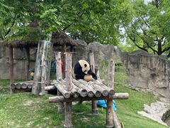 -上海野生动物园