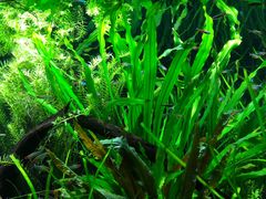 -上海海洋水族馆