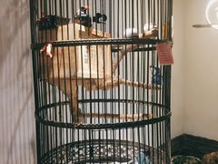 -清真·京华源铜锅涮肉(丰庆店)