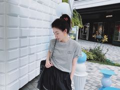 -岭南站NOVA