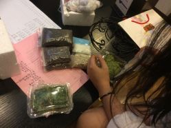 -Pink Gold Wedding·婚礼设计