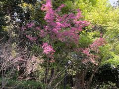 -东明山森林公园