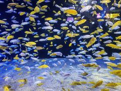 -成都浩海立方海洋公园