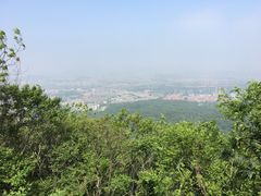 -紫金山天文台