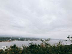 -洈水景区