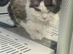 -FAELING PETS美天灵宠物(富力广场店)