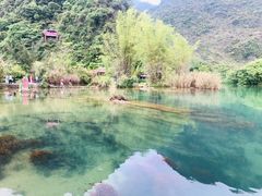 -靖西鹅泉风景区