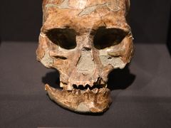 -北京周口店北京人遗址博物馆