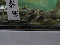 -宋船渔栈(白沙店)