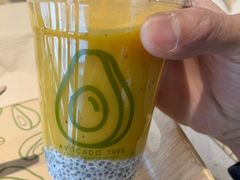 -油梨树 AVOCADO TREE(亮马桥店)
