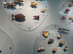 -中国湿地博物馆