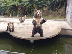 -贵州森林野生动物园
