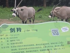 -大连森林动物园