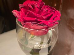 -波特曼西餐厅(南岗店)