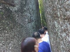 -五营红松林海景区