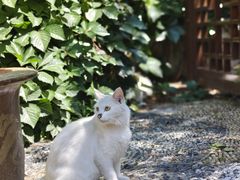 -李叔同故居纪念馆