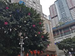 -中国建设银行(重庆市分行)
