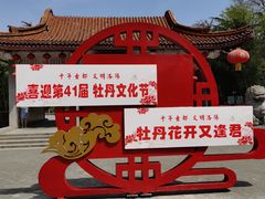-西苑公园