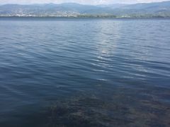 -西昌邛海湾柏樾酒店(原邛海湾柏栎度假酒店)