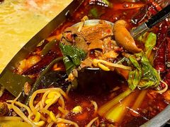 -蓉客成都火锅·招牌麻辣牛杂·特色香辣蹄花(凌水店)