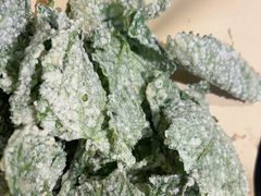 -周姑娘不等味·牛羊肉火锅·螃蟹罗氏虾·烤鱼烤串(高邮店)