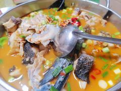 -全乐鱼馆·淳牌有机鱼直营店