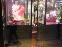 -上海中航虹桥机场泊悦酒店