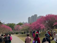 -堤角公园