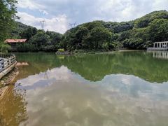 -广州市帽峰山景区