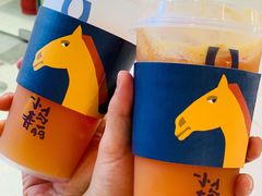 -春丽小马(济南恒隆广场店)