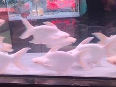 -中环花鸟鱼虫市场