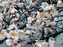 -白塘生态植物园