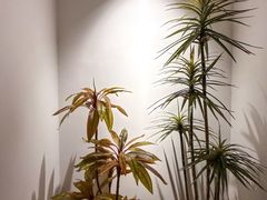 -汤悦温泉汗蒸馆(北京旗舰店)