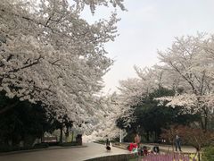 -杭州少年儿童公园