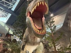 -湖南省地质博物馆