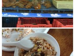 -坛南湾阿强农家乐.海鲜大排档老字号(福州地标美食店)