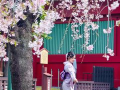 -东京浅草和服体验江户和装工房雅(浅草本店)