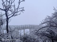 -张家界天门山国家森林公园