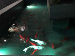 -辉哥火锅(虹桥路店)