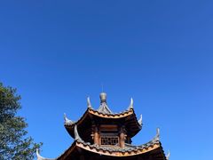 -黄埔油麻山森林公园