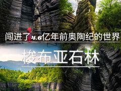 -梭布垭石林景区