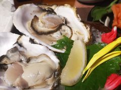 生蚝刺身-和彩放题餐厅(酒仙桥店)