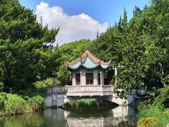 -叶家花园