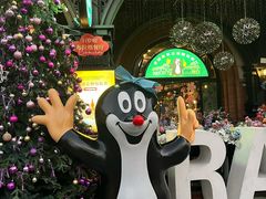 -布拉格餐厅· 中欧捷克菜(全国首店)