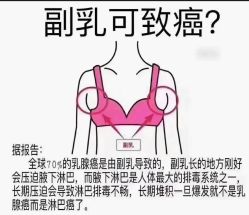 -香薇妮丝·定制减肥·身材管理