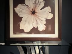 -罗奇堡家具(淮海西路店)