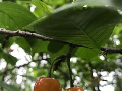 -盐帮食坊•小河帮川菜(四川师大店)