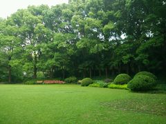 android_upload_pic-申粤轩酒楼·三十年粤菜经典(丁香花园店)