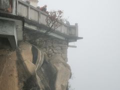 -九华山风景区-东崖禅寺